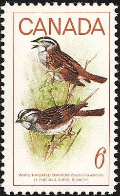 1969 - Птицы. 