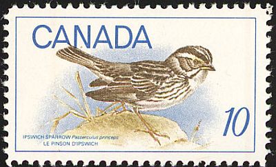 1969 - Птицы. 