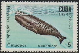 1984 - Дельфины и Ктиы 