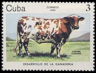1984 - Коровы  