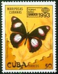 1993 - Бабочки 