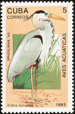 1993 - Птицы. Фил.выставка BRASILIANA-93