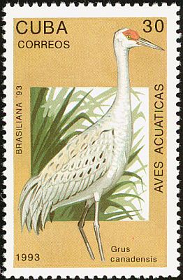 1993 - Птицы. Фил.выставка BRASILIANA-93