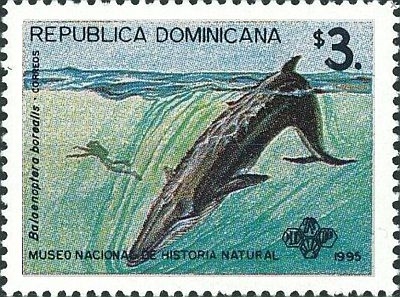 1995 -Whales 