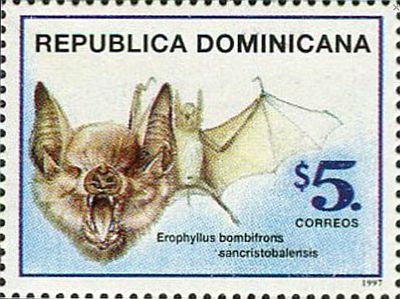 1997 - Bats 