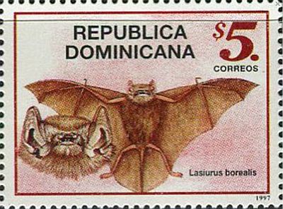1997 - Bats 