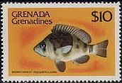 1980 - Рыбы 