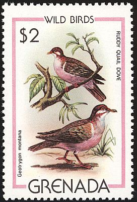 1980 - Птицы