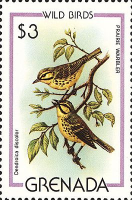 1980 - Птицы