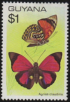 1978 - Бабочки 