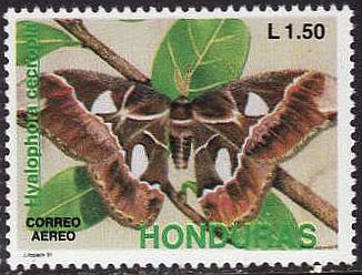 1991 г. - Бабочки 