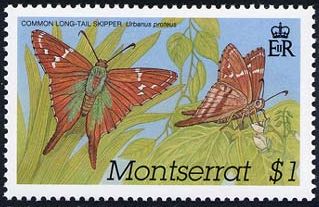 2001 -  Бабочки Карибских островов . 