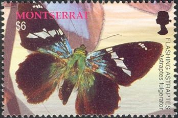 2004 - Бабочки. 
