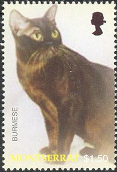 2004 - Кошки. 